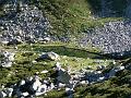 Madides2008 004